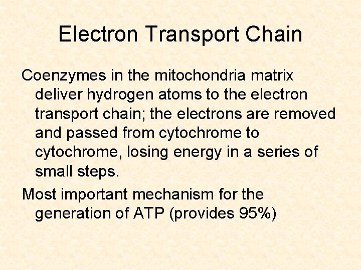 Electron Transport Chain Coenzymes in the mitochondria matrix deliver hydrogen atoms to the electron