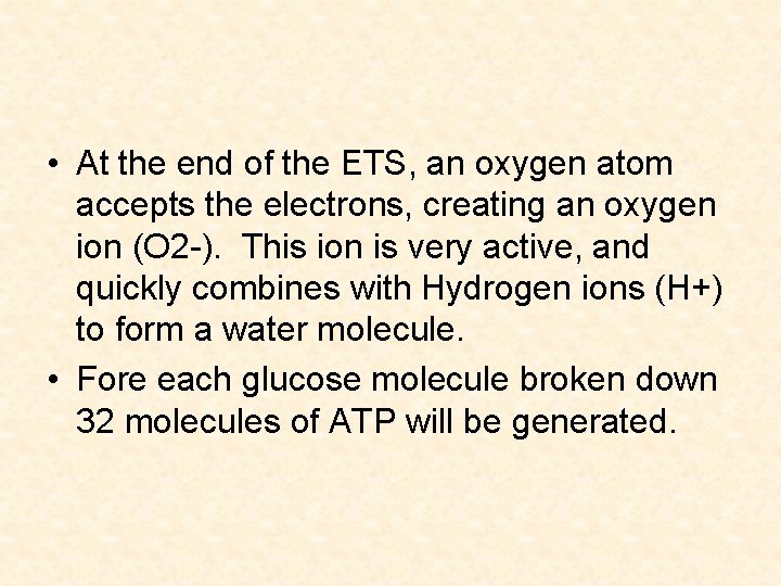  • At the end of the ETS, an oxygen atom accepts the electrons,