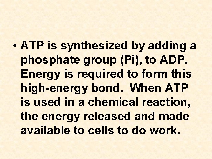  • ATP is synthesized by adding a phosphate group (Pi), to ADP. Energy