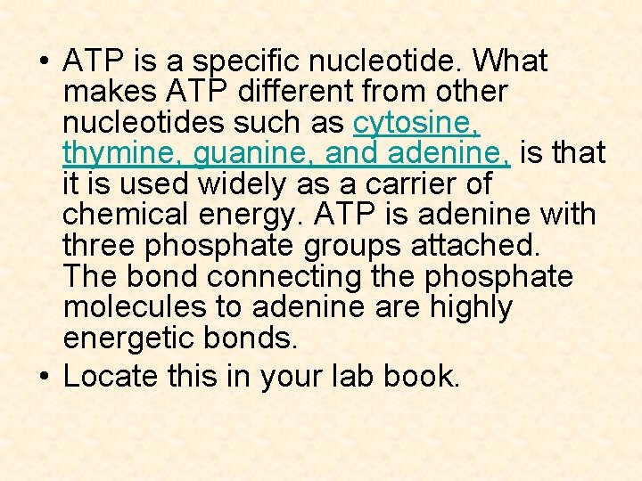  • ATP is a specific nucleotide. What makes ATP different from other nucleotides