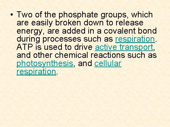  • Two of the phosphate groups, which are easily broken down to release
