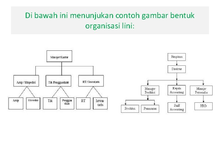 Di bawah ini menunjukan contoh gambar bentuk organisasi lini: 