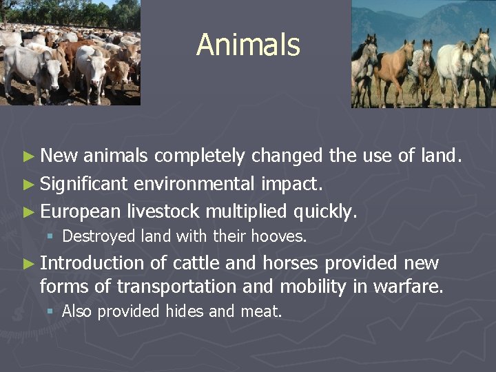 Animals ► New animals completely changed the use of land. ► Significant environmental impact.
