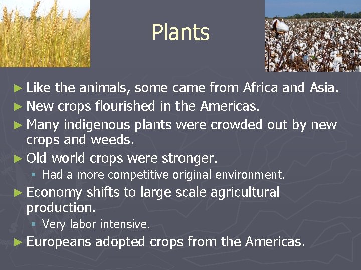 Plants ► Like the animals, some came from Africa and Asia. ► New crops
