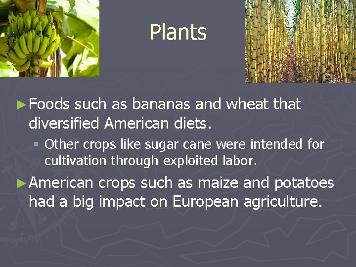Plants ► Foods such as bananas and wheat that diversified American diets. § Other