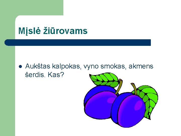 Mįslė žiūrovams l Aukštas kalpokas, vyno smokas, akmens šerdis. Kas? 