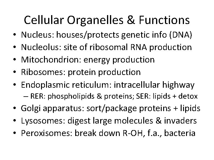 Cellular Organelles & Functions • • • Nucleus: houses/protects genetic info (DNA) Nucleolus: site