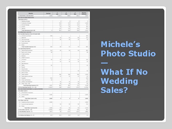 Michele’s Photo Studio — What If No Wedding Sales? 