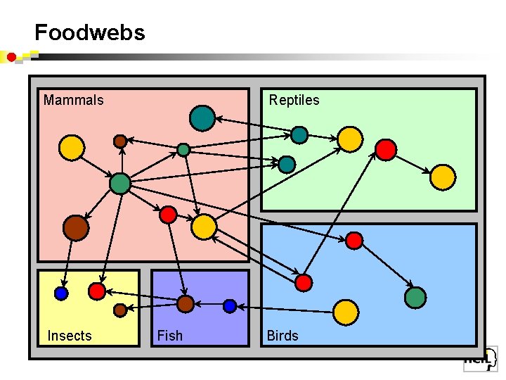 Foodwebs Mammals Insects Reptiles Fish Birds 