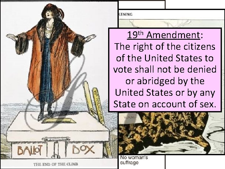 19 th Amendment: The right of the citizens of the United. Women’s States to