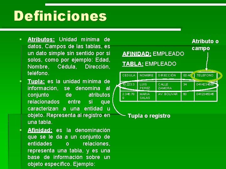 Definiciones § Atributos: Unidad mínima de datos, Campos de las tablas, es un dato