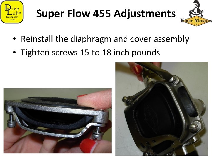 Super Flow 455 Adjustments • Reinstall the diaphragm and cover assembly • Tighten screws