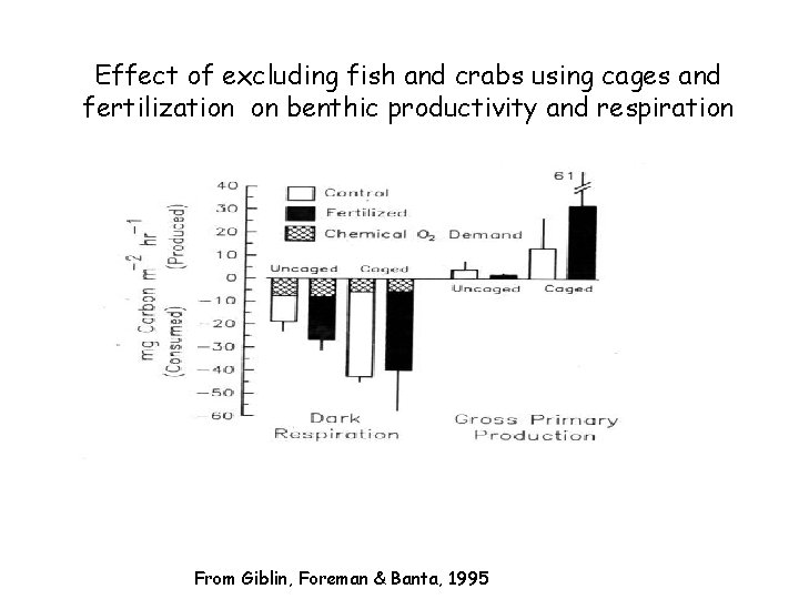 Effect of excluding fish and crabs using cages and fertilization on benthic productivity and