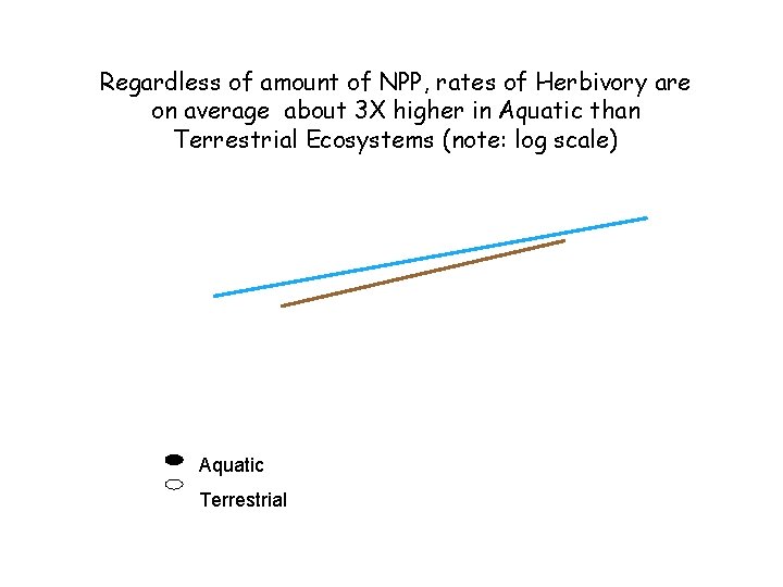 Regardless of amount of NPP, rates of Herbivory are on average about 3 X