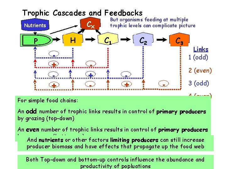 Trophic Cascades and Feedbacks CX Nutrients H PP + + For simple food chains:
