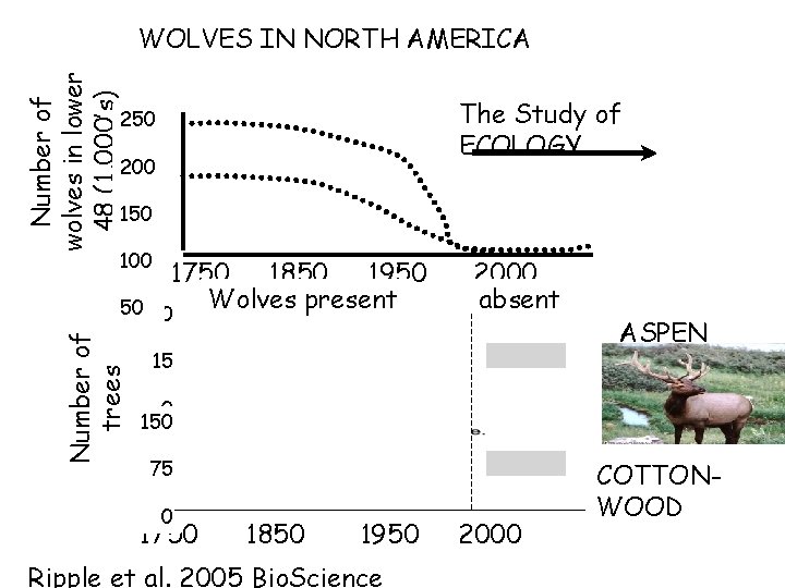Number of wolves in lower 48 (1, 000’s) WOLVES IN NORTH AMERICA The Study