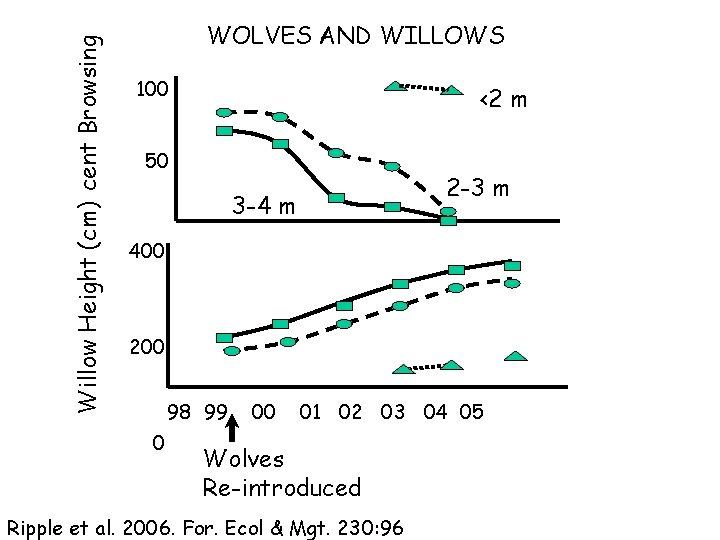 Willow Height (cm) Percent Browsing WOLVES AND WILLOWS 100 <2 m 50 2 -3