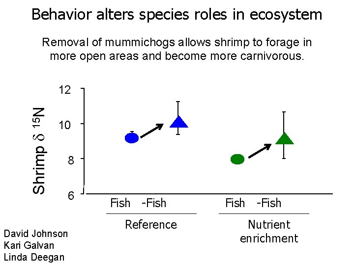 Behavior alters species roles in ecosystem Removal of mummichogs allows shrimp to forage in