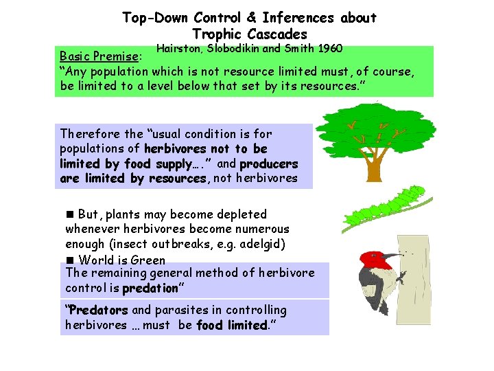 Top-Down Control & Inferences about Trophic Cascades Hairston, Slobodikin and Smith 1960 Basic Premise:
