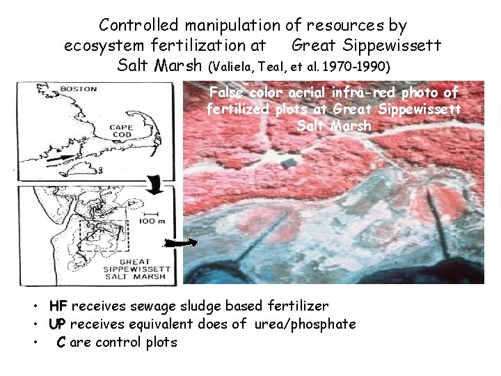 Controlled manipulation of resources by ecosystem fertilization at Great Sippewissett Salt Marsh (Valiela, Teal,