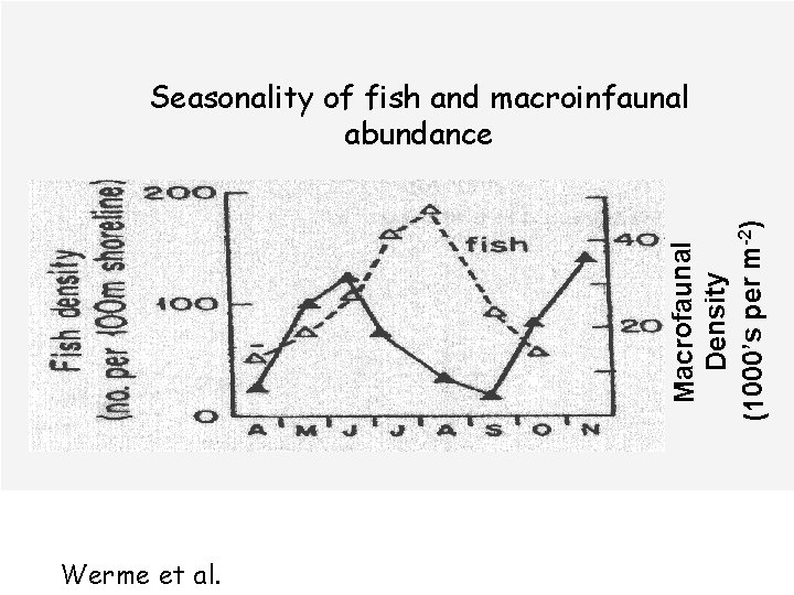 Macrofaunal Density (1000’s per m-2) Seasonality of fish and macroinfaunal abundance Werme et al.