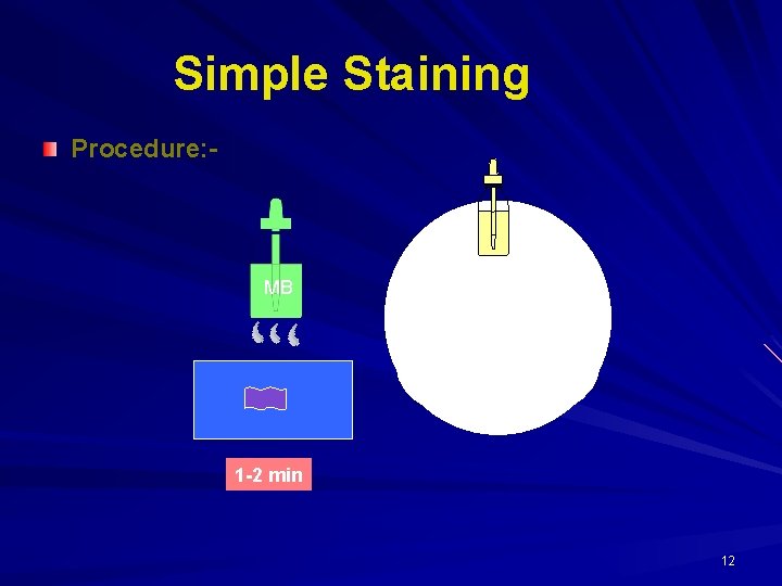 Simple Staining Procedure: - MB 1 -2 min 12 