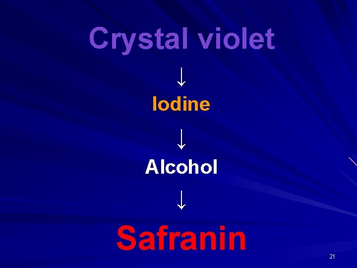 Crystal violet ↓ Iodine ↓ Alcohol ↓ Safranin 21 