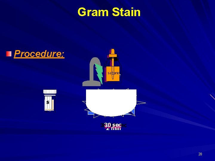 Gram Stain Procedure: safranin CV iodine s 30 sec 30 -60 sec 10 sec