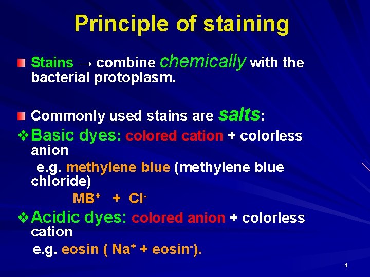 Principle of staining Stains → combine chemically with the bacterial protoplasm. Commonly used stains