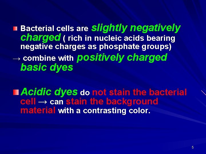 Bacterial cells are slightly negatively charged ( rich in nucleic acids bearing negative charges