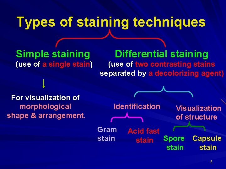 Types of staining techniques Simple staining Differential staining (use of a single stain) (use