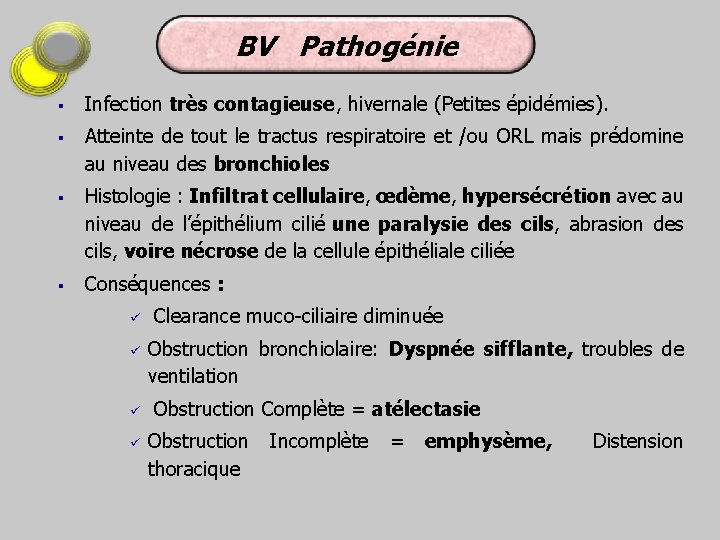 BV Pathogénie § § Infection très contagieuse, hivernale (Petites épidémies). Atteinte de tout le