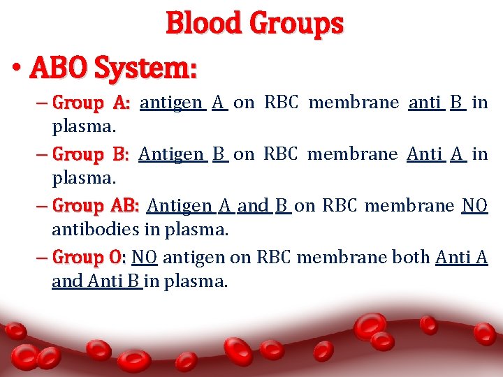 Blood Groups • ABO System: – Group A: antigen A on RBC membrane anti