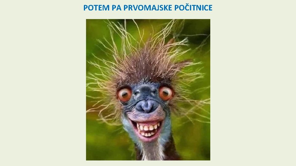 POTEM PA PRVOMAJSKE POČITNICE 