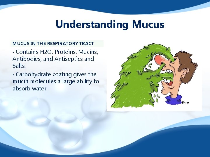 Understanding Mucus MUCUS IN THE RESPIRATORY TRACT Contains H 2 O, Proteins, Mucins, Antibodies,