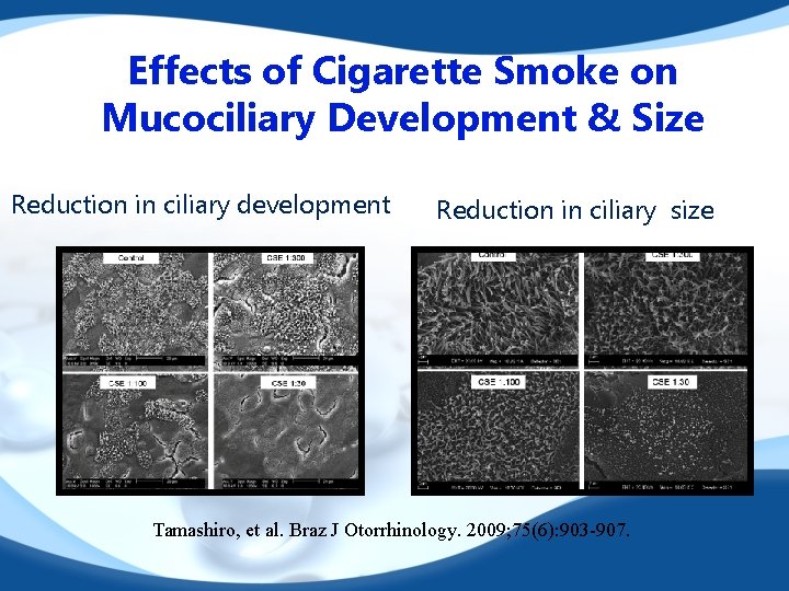 Effects of Cigarette Smoke on Mucociliary Development & Size Reduction in ciliary development Reduction
