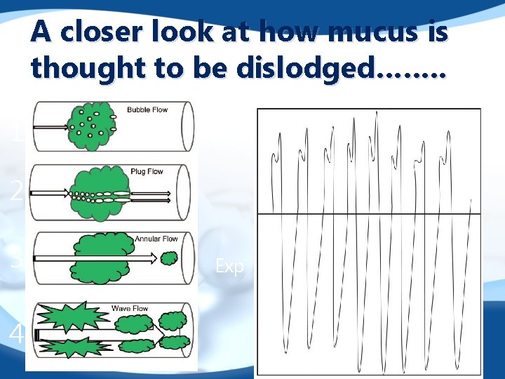 A closer look at how mucus is thought to be dislodged……. . 1 Insp