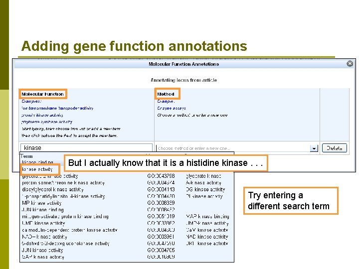 Adding gene function annotations kinase But I actually know that it is a histidine