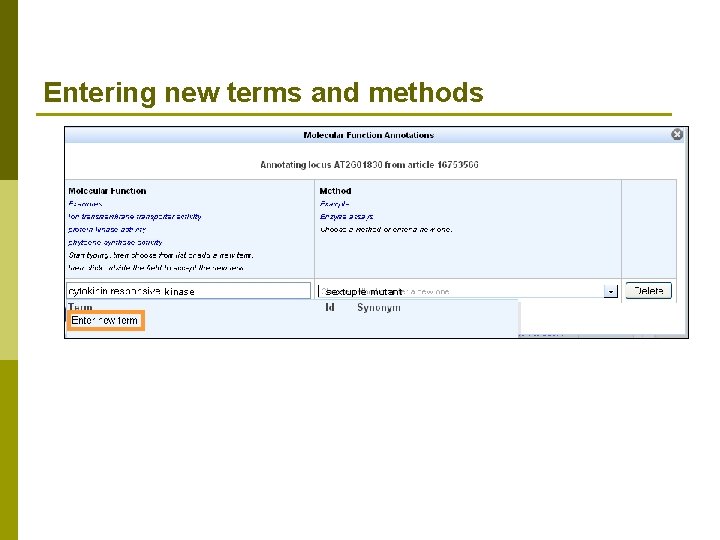 Entering new terms and methods kinase sextuple mutant 