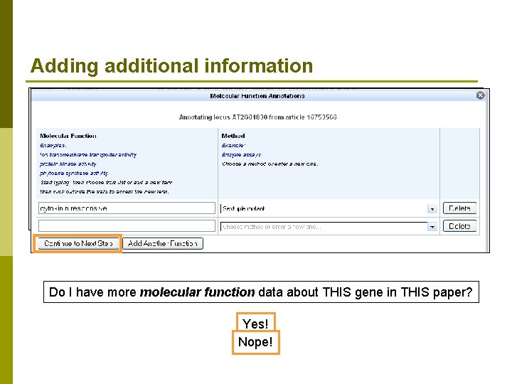Adding additional information kinase Do I have more molecular function data about THIS gene