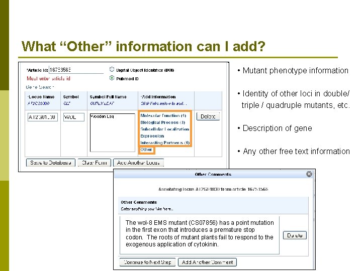 What “Other” information can I add? • Mutant phenotype information • Identity of other