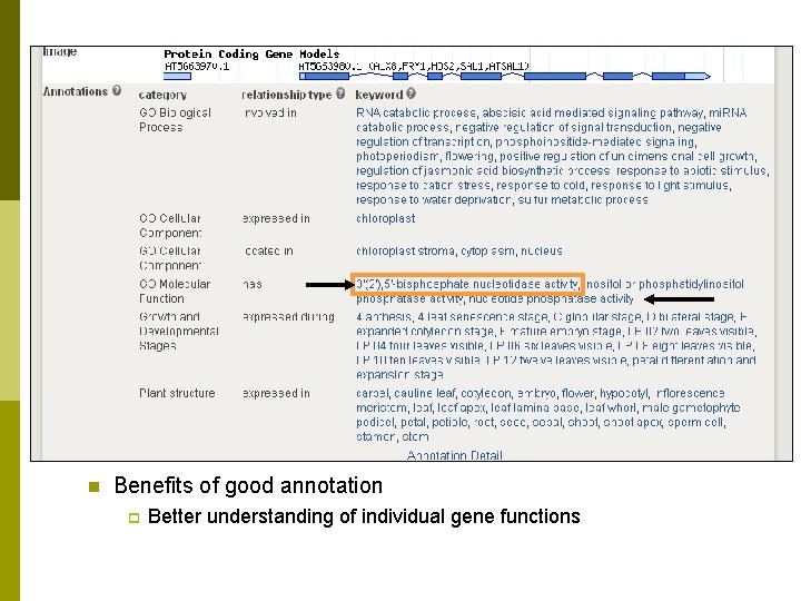 Tips for gene function data submission n Something is better than nothing. . .