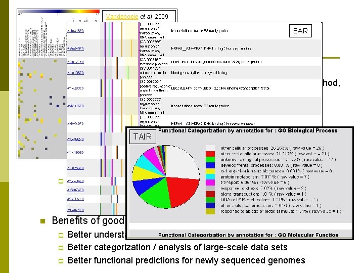 Vandepoele et al, 2009 BAR Tips for gene function data submission n Something is