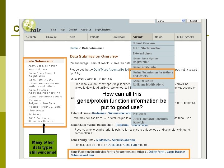 Contributing new functional data – anytime! How can all this gene/protein function information be