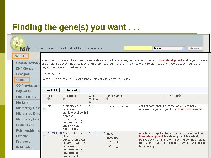 Finding the gene(s) you want. . . n Use Gene Search to find genes.