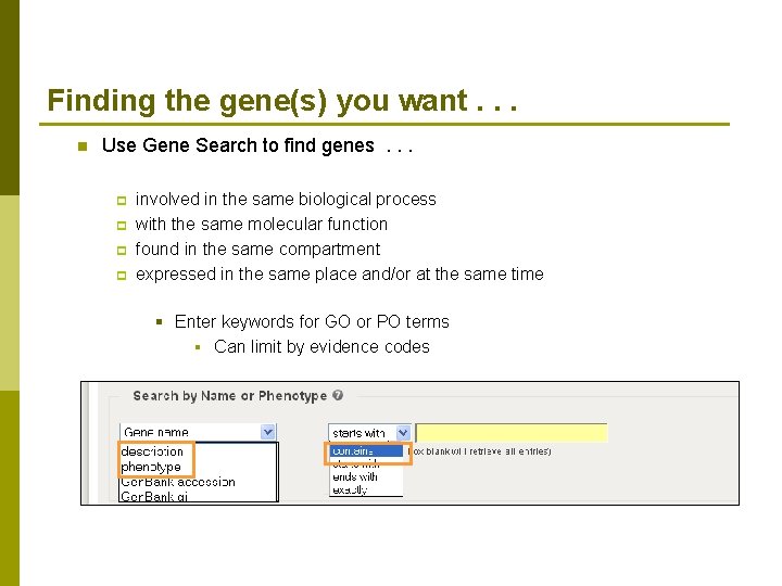 Finding the gene(s) you want. . . n Use Gene Search to find genes.