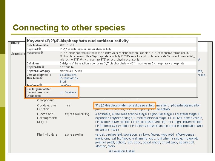 Connecting to other species n Finding “related” genes in other species 