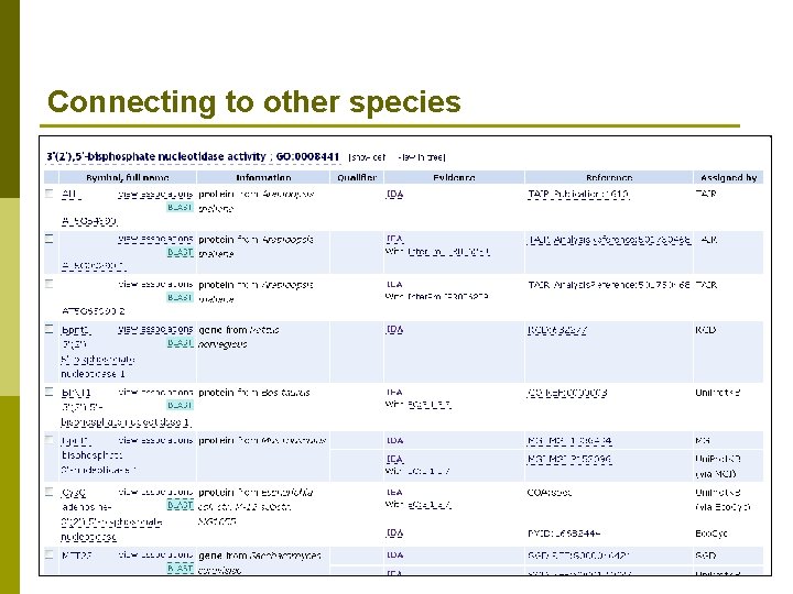 Connecting to other species 