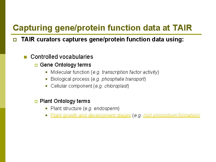 Capturing gene/protein function data at TAIR p TAIR curators captures gene/protein function data using: