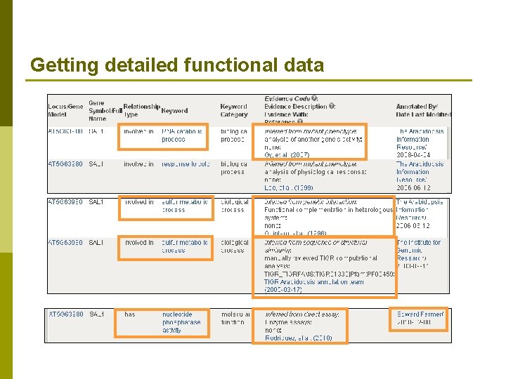 Getting detailed functional data 